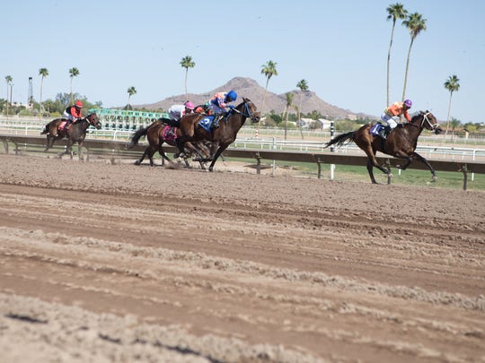 Horse racing fans packed Turf Paradise to catch The