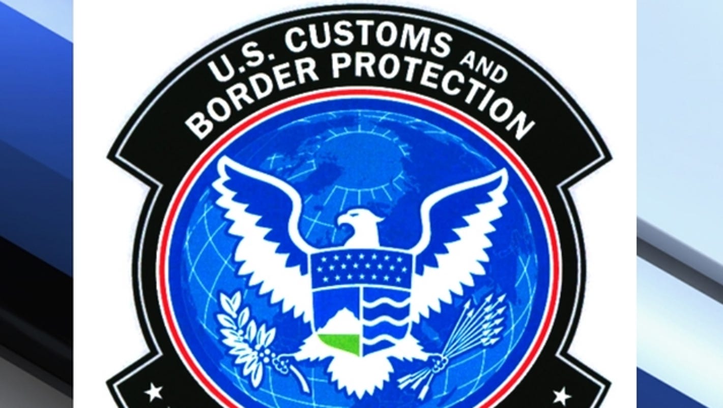 Us Customs and border Protection. Customs USA. Орел CBP one. В США CBP one.