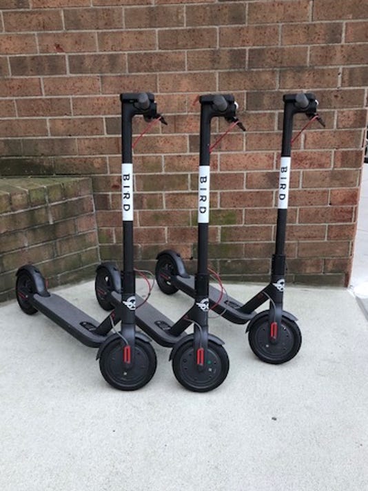 City requests 30 day suspension of Bird scooter service