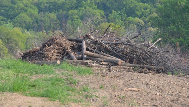 This pile of debris was collected by removing cover that was used by wildlife.