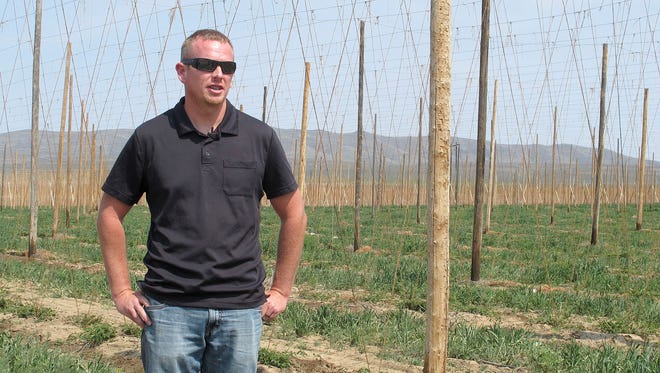 In this April 21, 2015,  photo, Ben St. Mary discusses the expansion of his family's hop farm in Moxee, Washington. Spectacular growth in production of craft beer across the U.S. has led to a big growth in the production of hops, a boon for farmers in Washington state’s Yakima Valley where 75 percent of the nation’s hops are produced. (AP Photo/Nicholas K. Geranios)