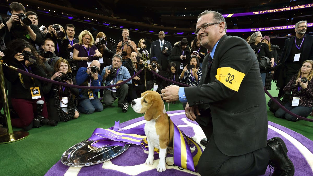 Westminster Kennel Club Dog Show