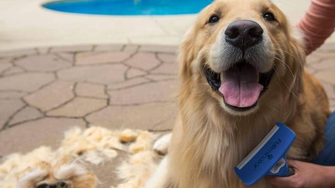 Dog owners swear by this brush, which removes loose undercoat fur.