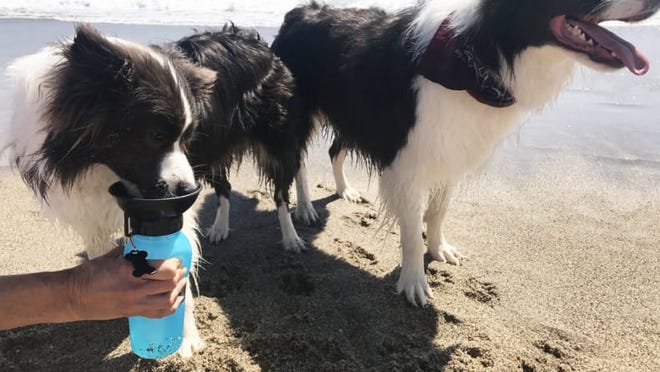 This water bottle and doggie bowl combo is handy for summer outings.