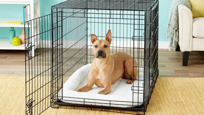 20 Essential Pet Accessories for You : Pet Items for New Dog Owners 22 Crates ensure your dog doesn't get into trouble while you're away.