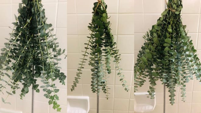 Make your shower feel like a spa.