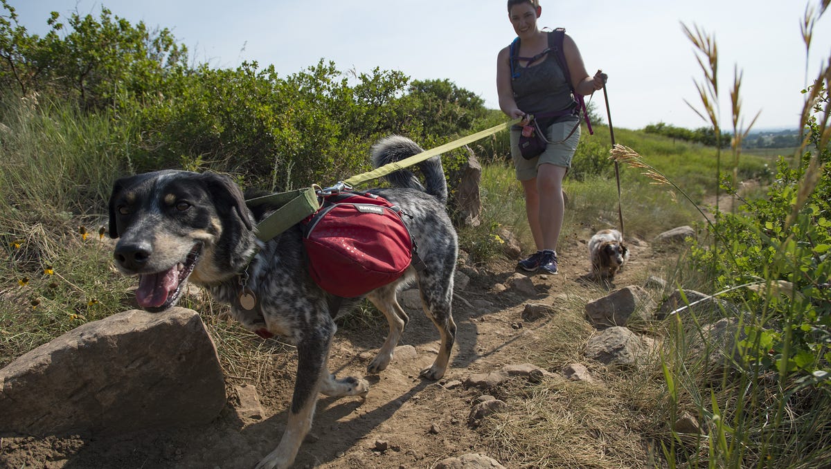 5 dog-friendly trails to check out in and near Fort Collins