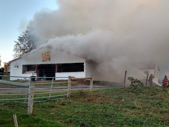 All cows were saved after a fire destroyed a dairy
