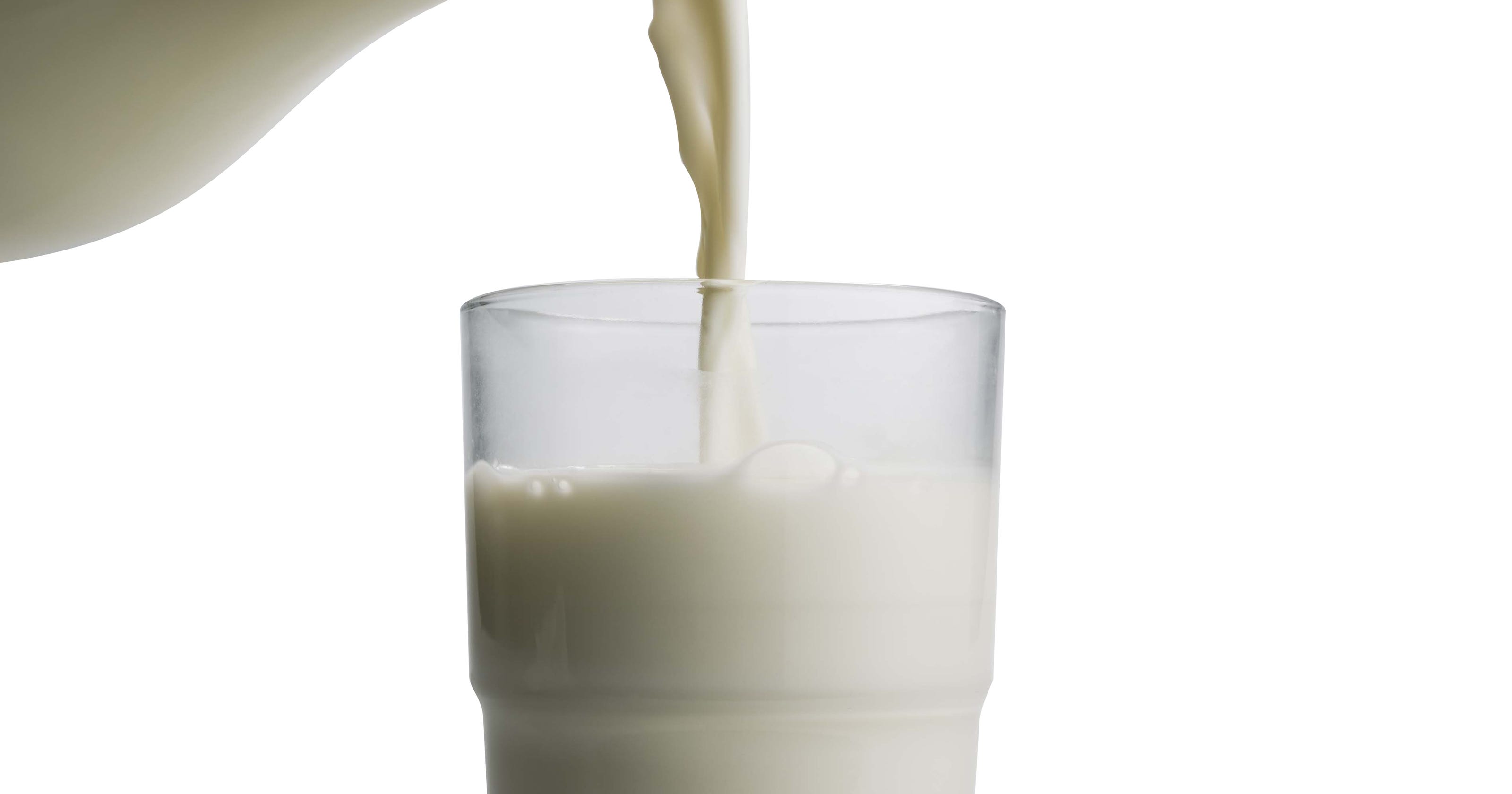 Leche sin lactosa ingredientes