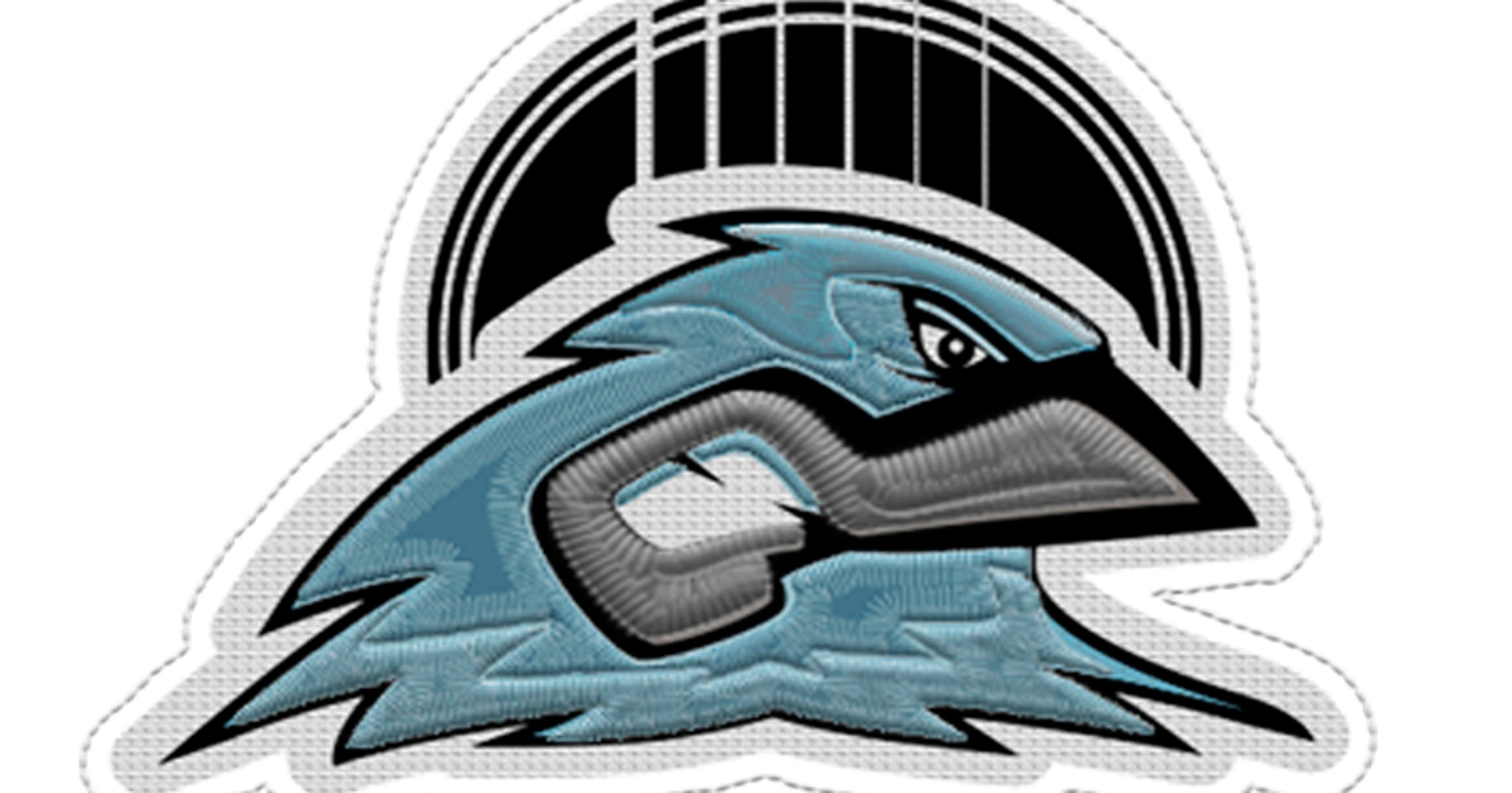 Meet the Bluebirds: Nashville's ultimate all-star baseball team