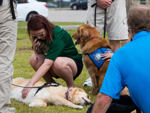 A Santa Fe High School student pets a comfort dog at