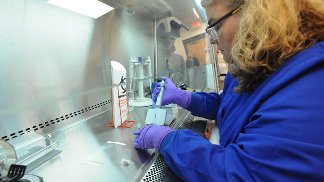 Cathy Phillips, tecnóloga de laboratorio en el Laboratorio Lacher de la Universidad de Delaware en Georgetown, donde analiza la gripe aviar.