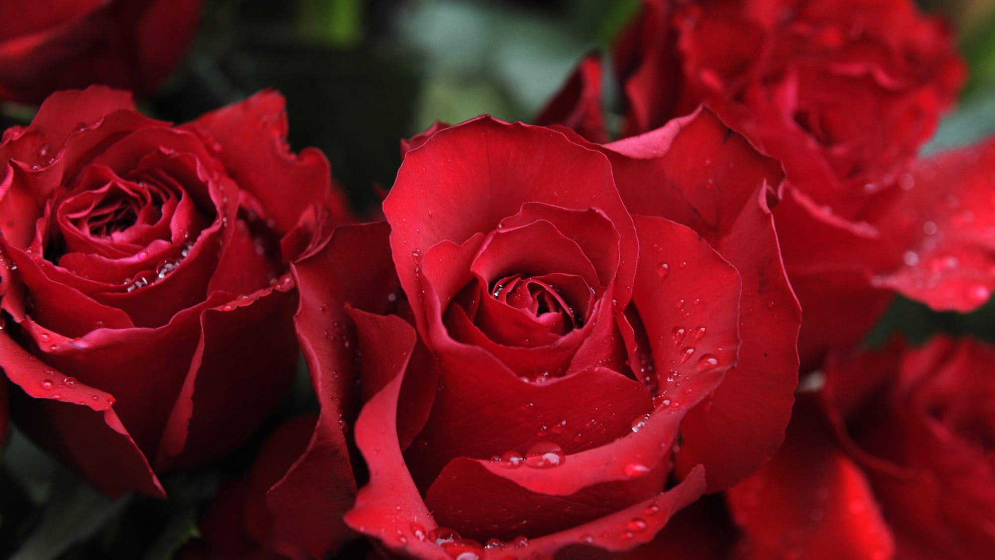 Sumner County Obituaries