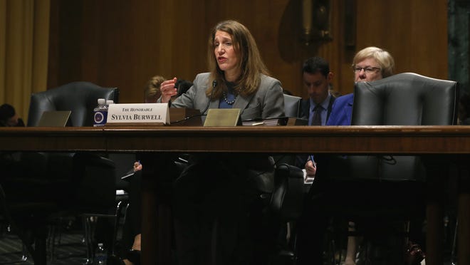 HHS Secretary Sylvia Mathews Burwell testifies during a Senate Finance Committee hearing on Capitol Hill, February 4, 2015 in Washington, DC.