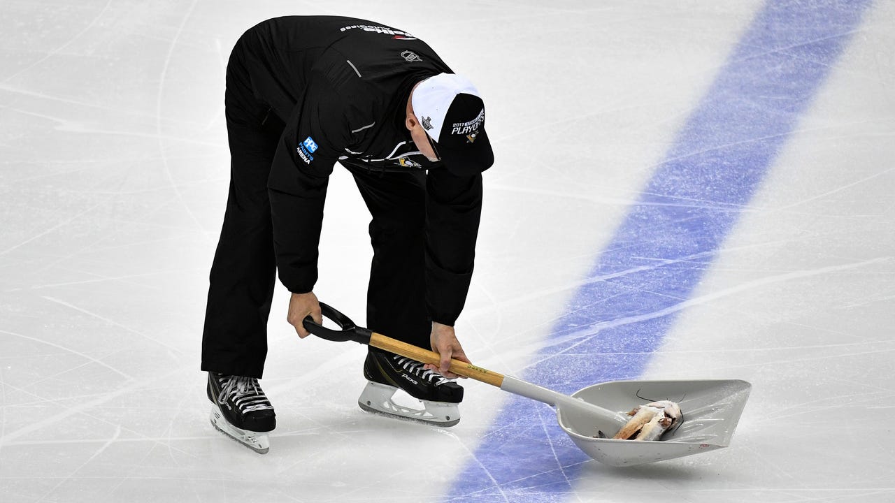 Just how high did the catfish fly at the Stanley Cup Final Game 1?