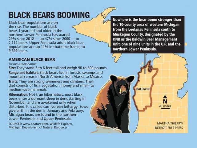Michigan Bear Sightings Map 2022