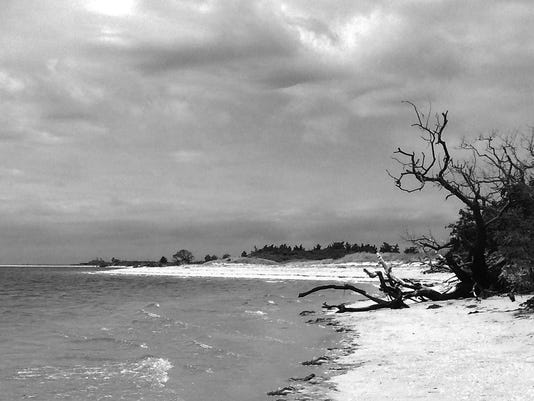 Weird Nj Higbee Beach S Ghostly Grave