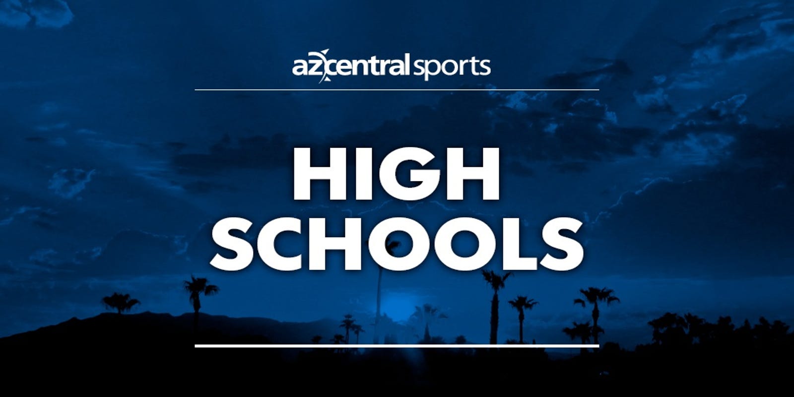 Banner Helping Raise Concussion Awareness In Hs Hockey