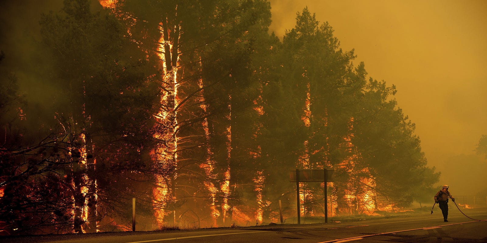 Western Wildfires Thousands Flee Blazes In Colorado California