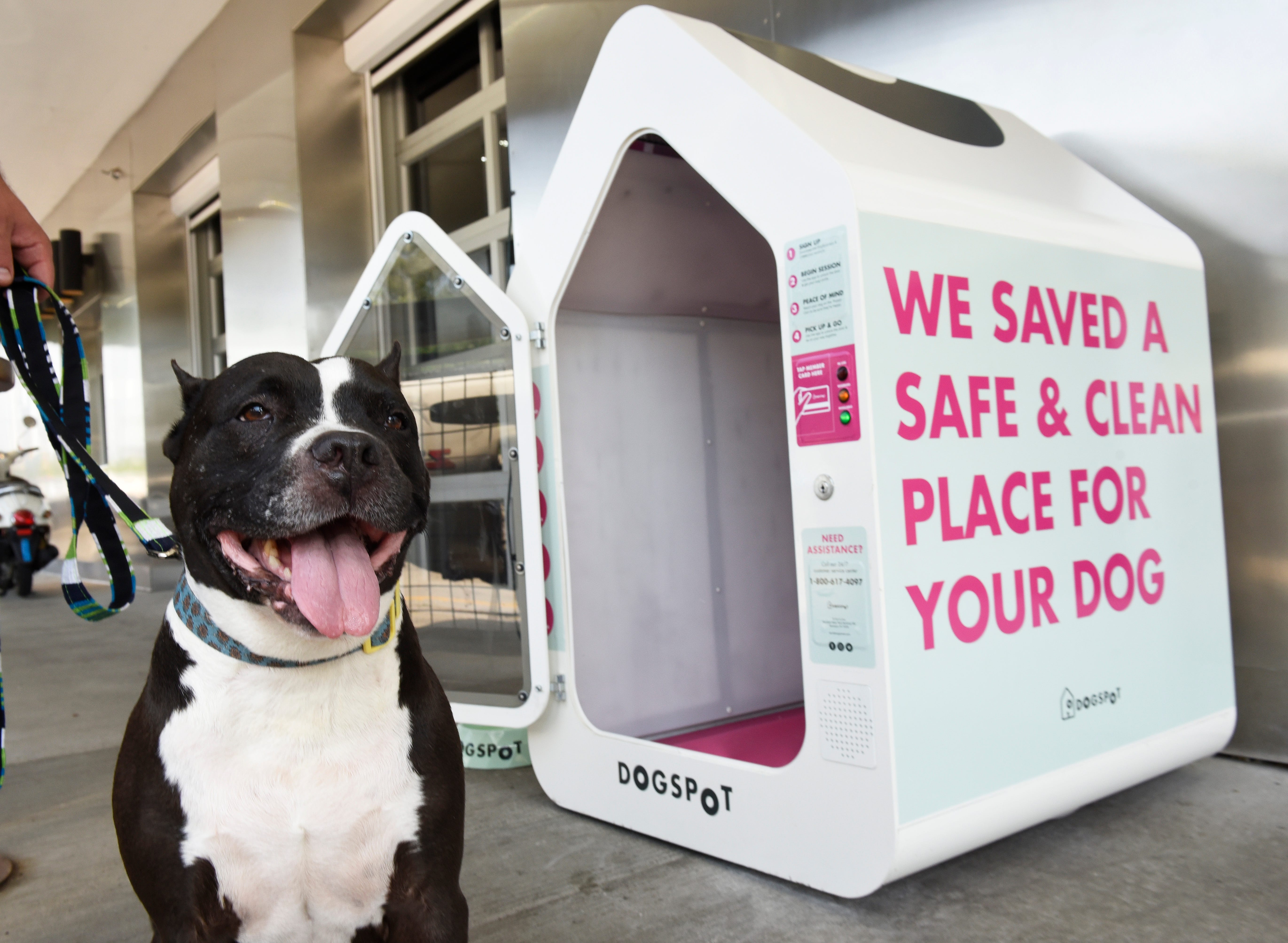 Dogspot air conditioned dog house sales