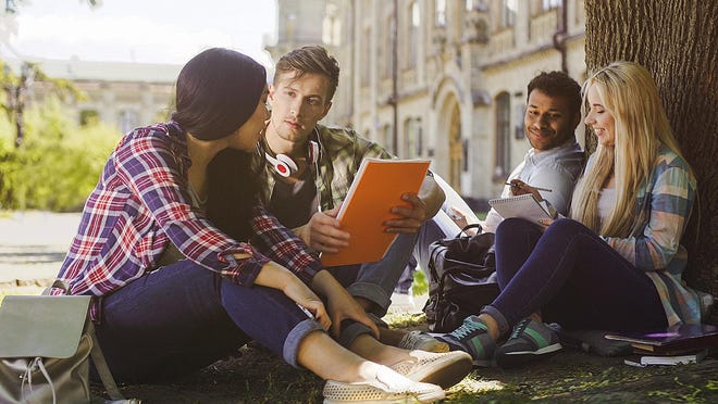College students having discussion under tree on campus, preparing for exams, stock footage