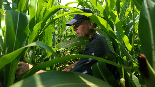 Zook writes: "Reducing the use of biofuels in our fuel supply hurts farmers, Michigan’s economy and the environment."