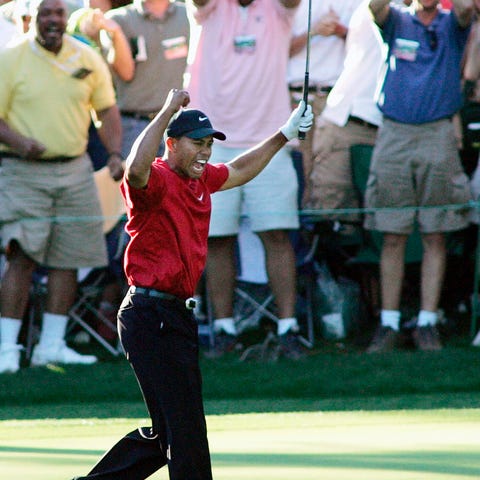 FILE - In this April 10, 2005, file photo, Tiger W