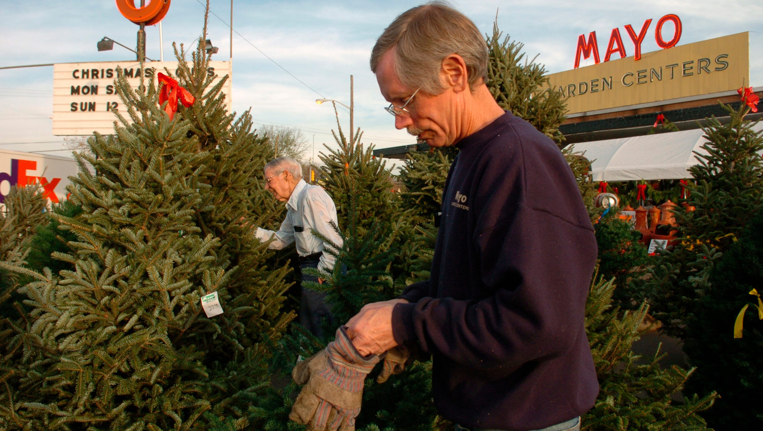 Mayo Garden Center celebrating 140 years as oldest business in Knoxville