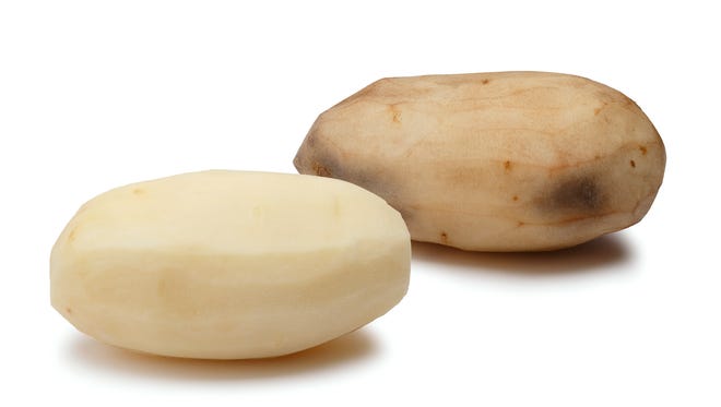 The J.R. Simplot Company shows a gene modified potato foreground and one without any modification. The company obtained gene editing licensing rights that could one day be used to help farmers produce more crops and grocery store offerings such as strawberries, potatoes and avocados stay fresher longer.
