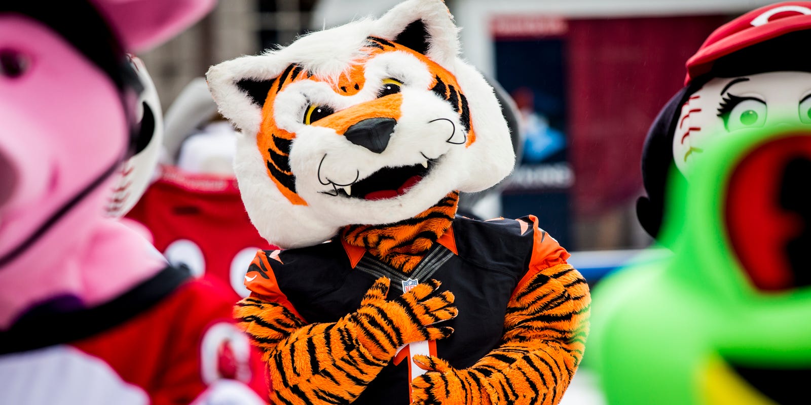Bengals introduce new mascot Who Dey Exotic on April Fools' Day