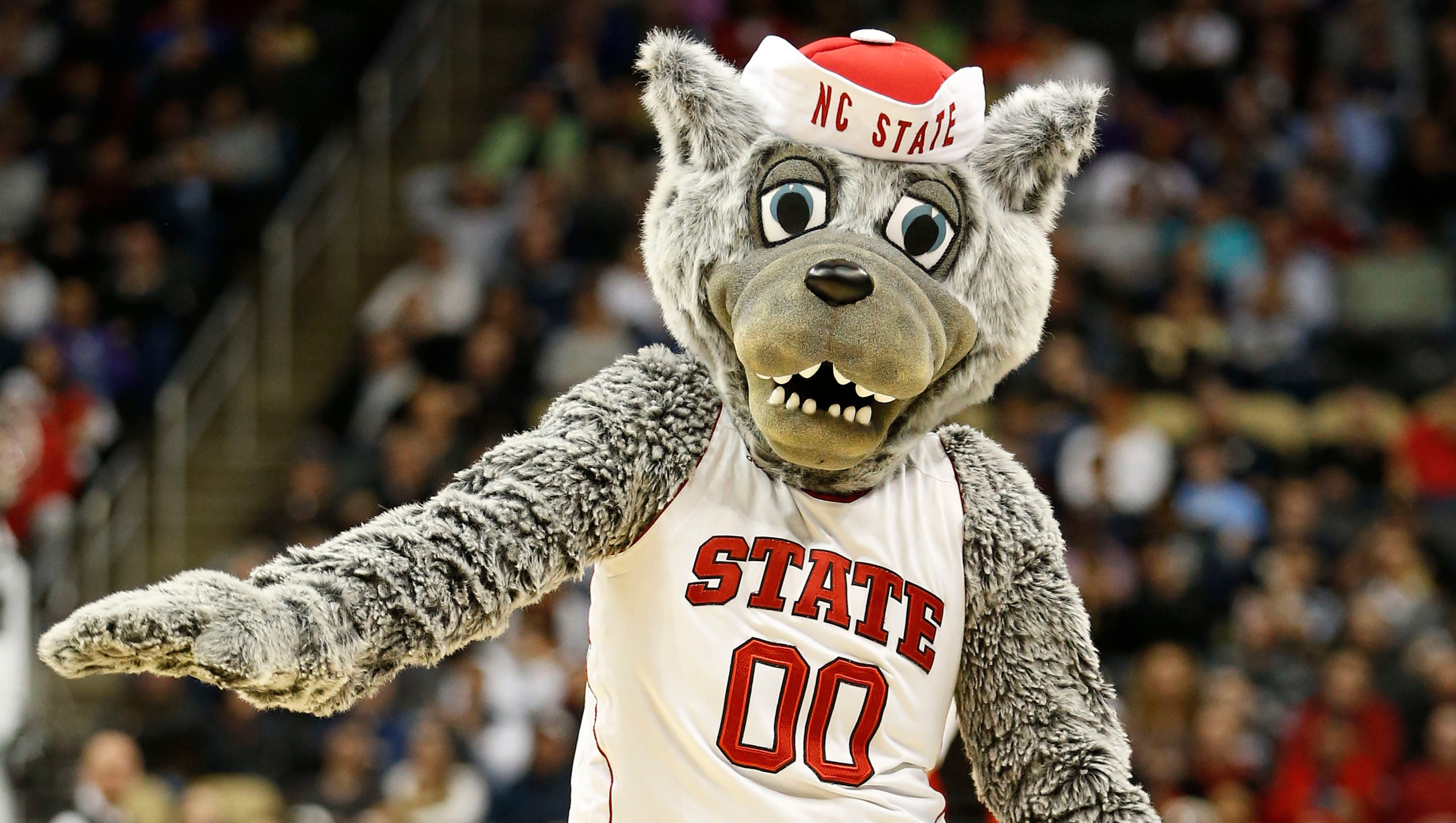 North Carolina State mascot takes shot at North Carolina's NCAA issues