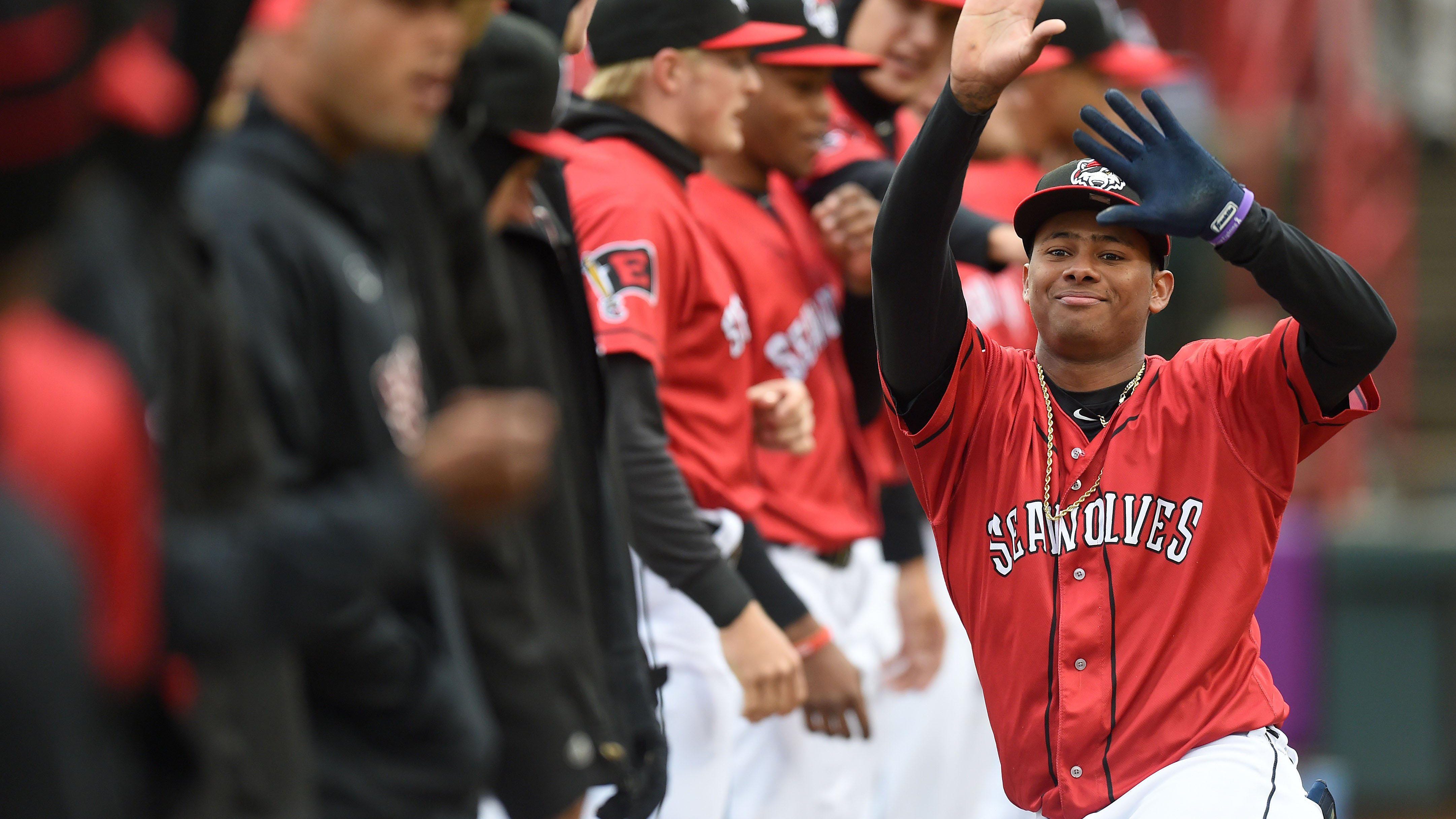 Detroit Tigers minor leagues Here's what just changed for 2021