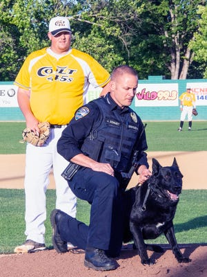 Colt 45s starting pitcher James Humphrey, left, looks on as Redding K-9 officer Jeff Schmidt gets his partner, Abel, ready to go after the ceremonial first pitch Saturday night at Tiger Field for We Back The Blue night.