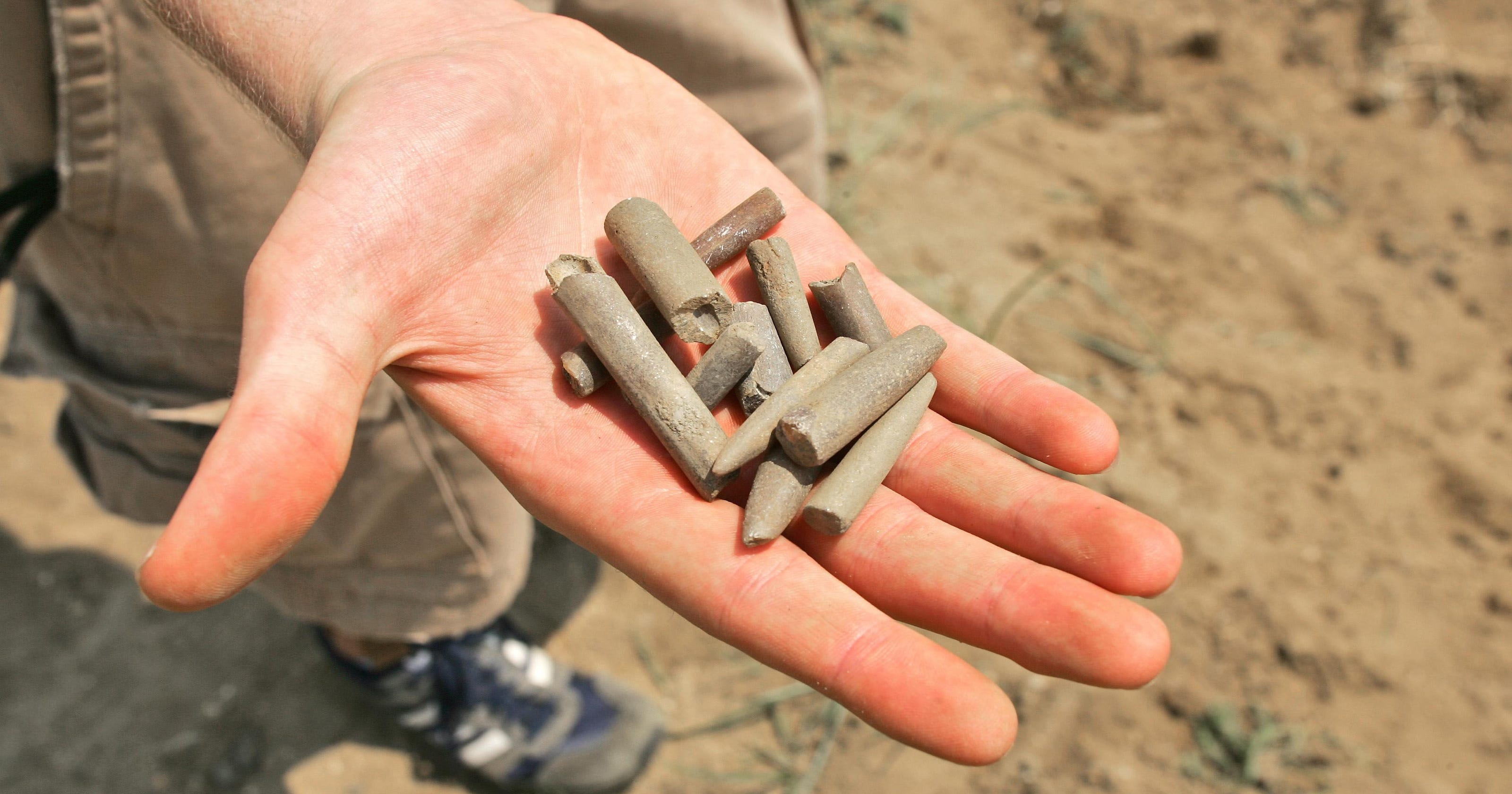 you dig fossils