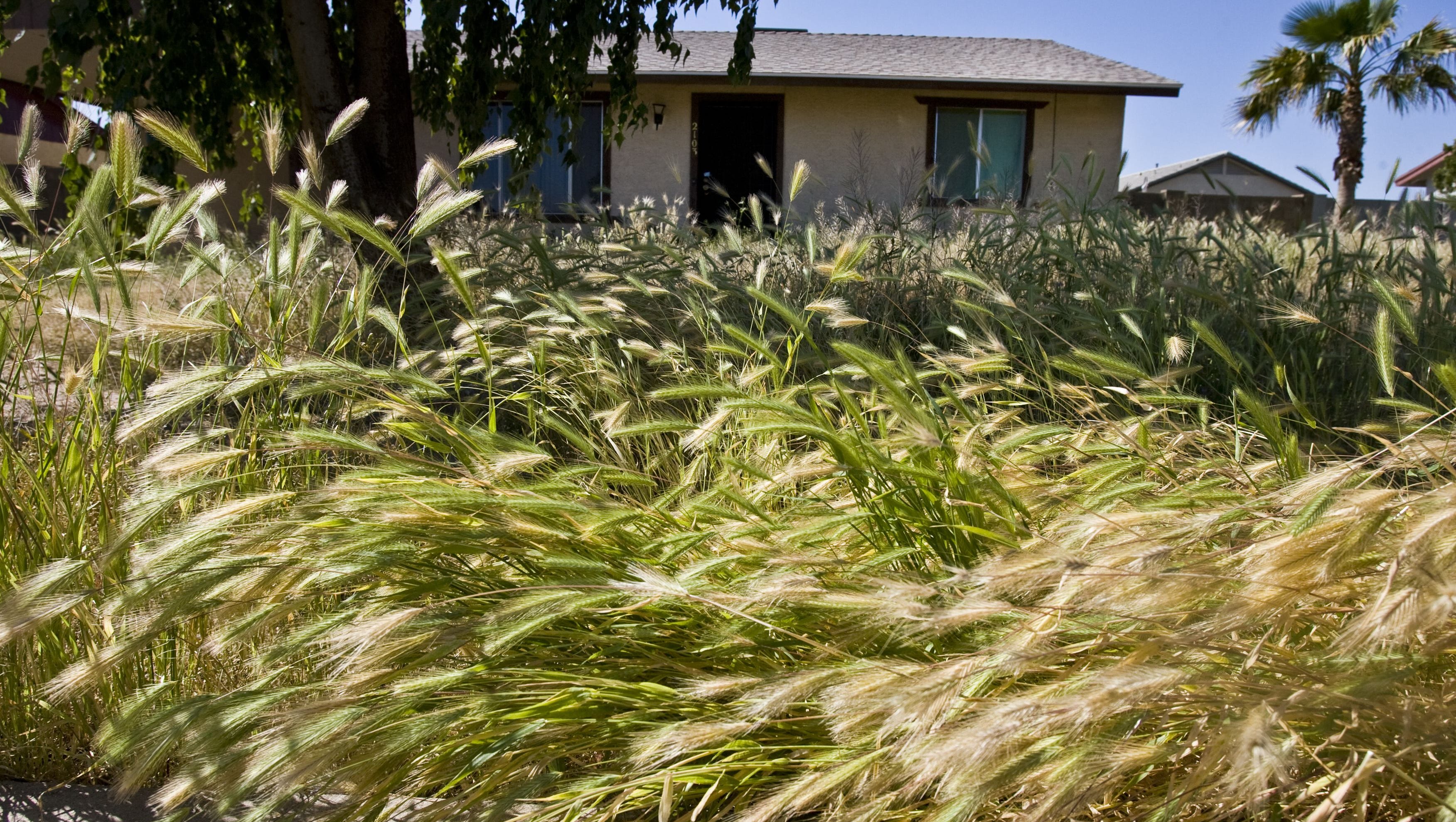 Allergy Sufferers You Re Going To Be Bothered For A While