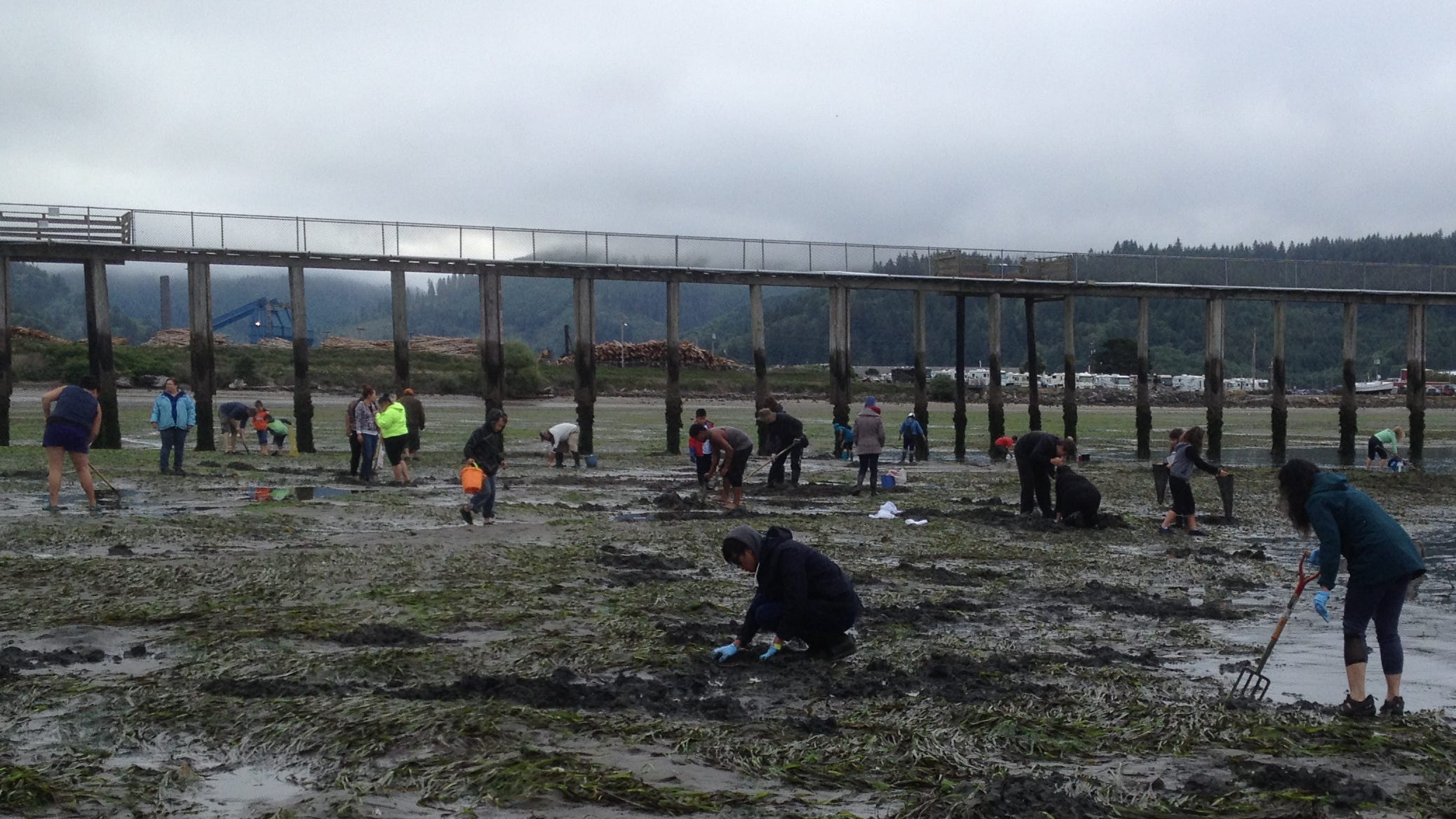 Dig right in to clamming tips for Tillamook, Netarts bays