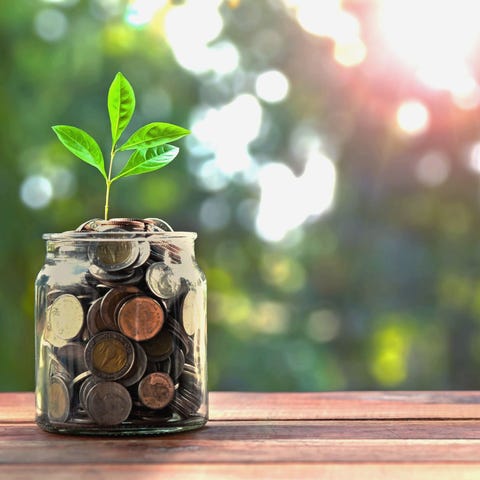 Jar full of coins with plant growing out of it.