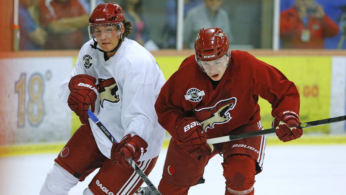 Arizona Coyotes' prospect development camp