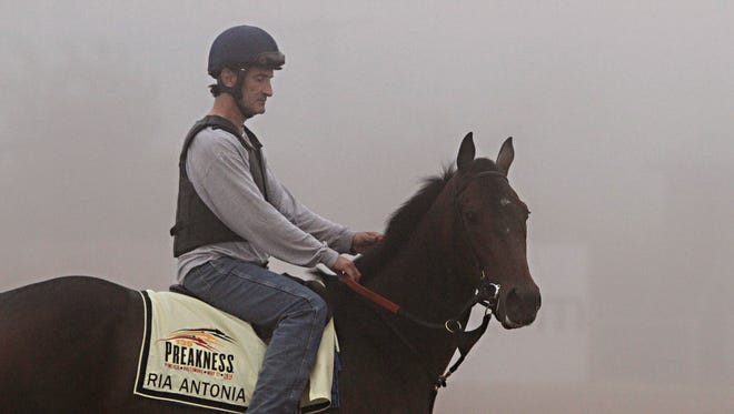 Preakness Stakes entrant Ria Antonia, the lone filly in the race, looks over the foggy track with exercise rider Maurice Sanchez aboard, at Pimlico Race Course in Baltimore on Thursday.