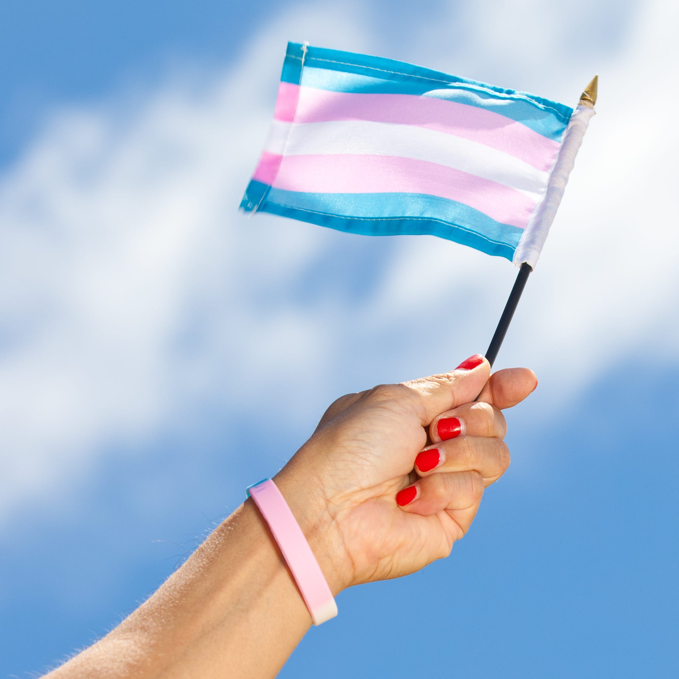 Arm with hand holding Transgender pride flag.