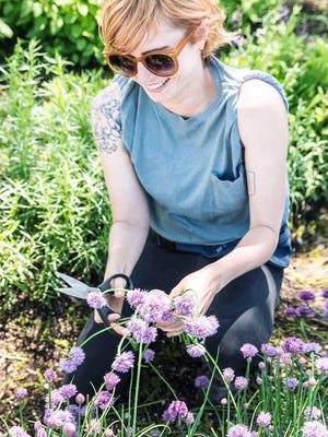 Public Greens Farm Manager Kate Franzman loves growing lettuce because of its fresh taste. Pictured here harvesting allium, this year in the farm garden in Broad Ripple, she'll grow the traditional Three Sisters, corn, squash and beans.
