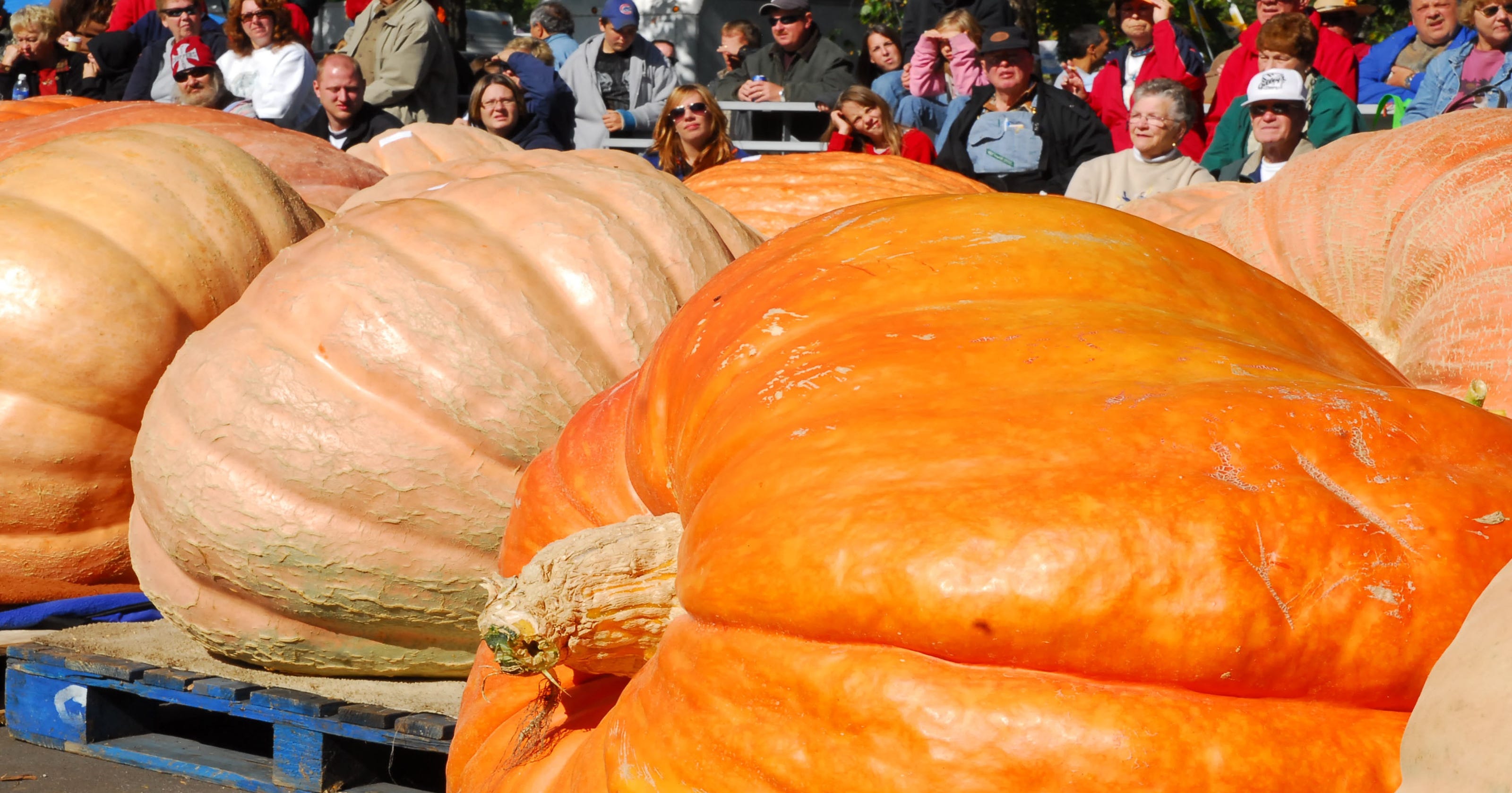 Nekoosa Giant Pumpkin Festival Your guide to 20th October event