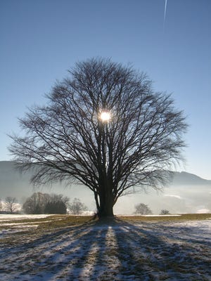 Winter Solstice 2017 What Time Does It Occur In Metro Phoenix