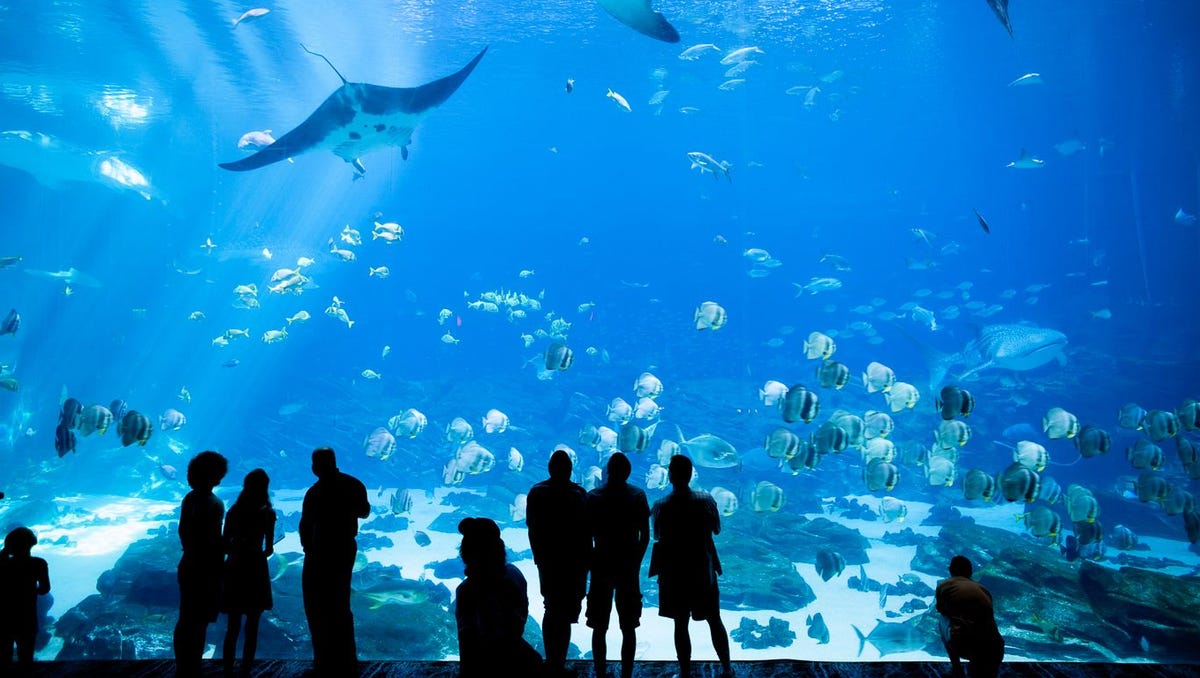 cool-places-to-take-kids-on-family-trips