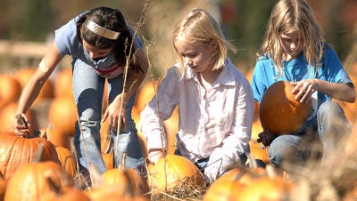 Three youngsters pick out pumpkins from Wilke’s Dairy Farm & Wilke’s Extra Sweet Acres on Highway W north of Wausau.