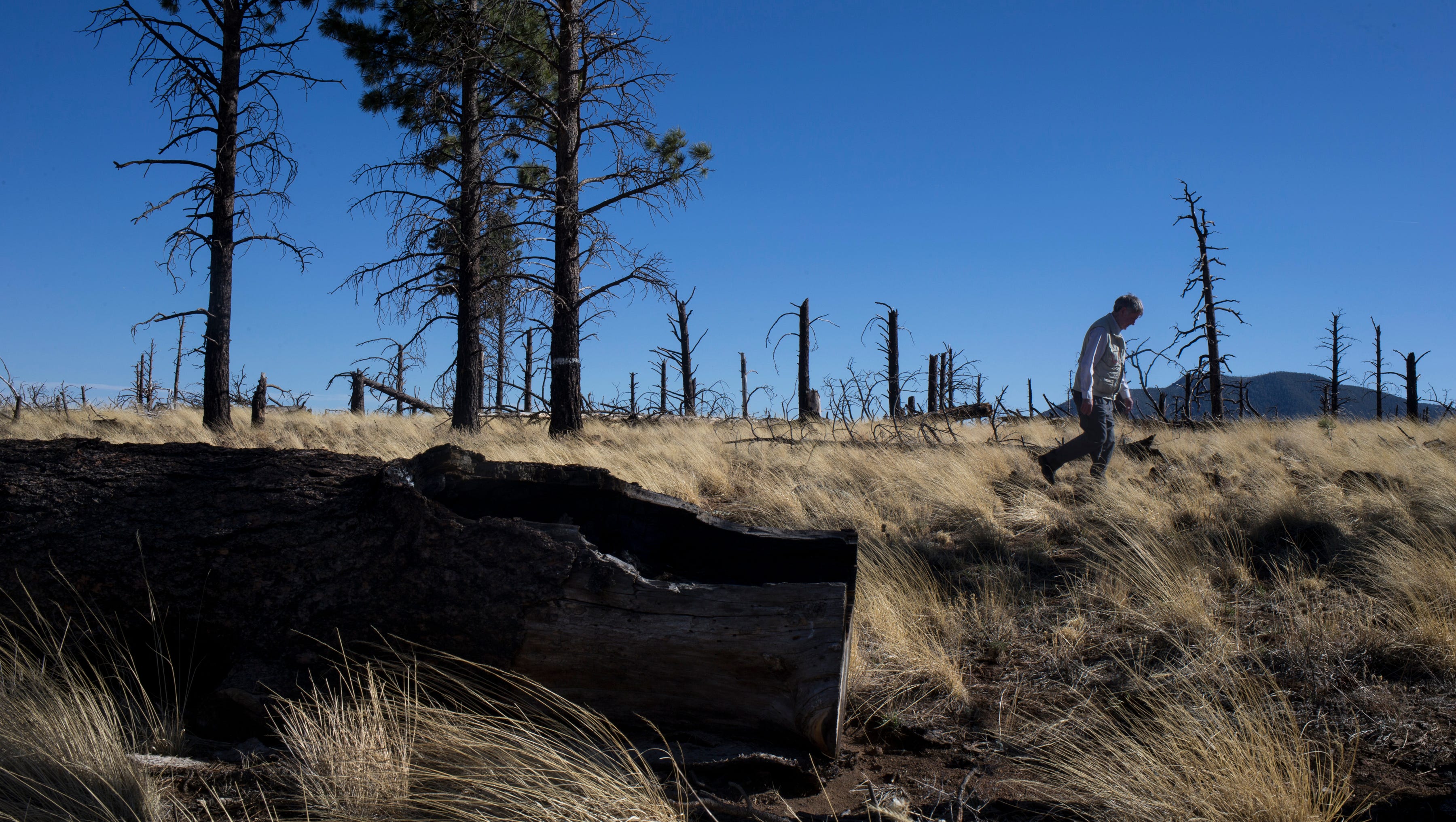 Arizona Wildfires Restoring Flagstaff Forest Health To