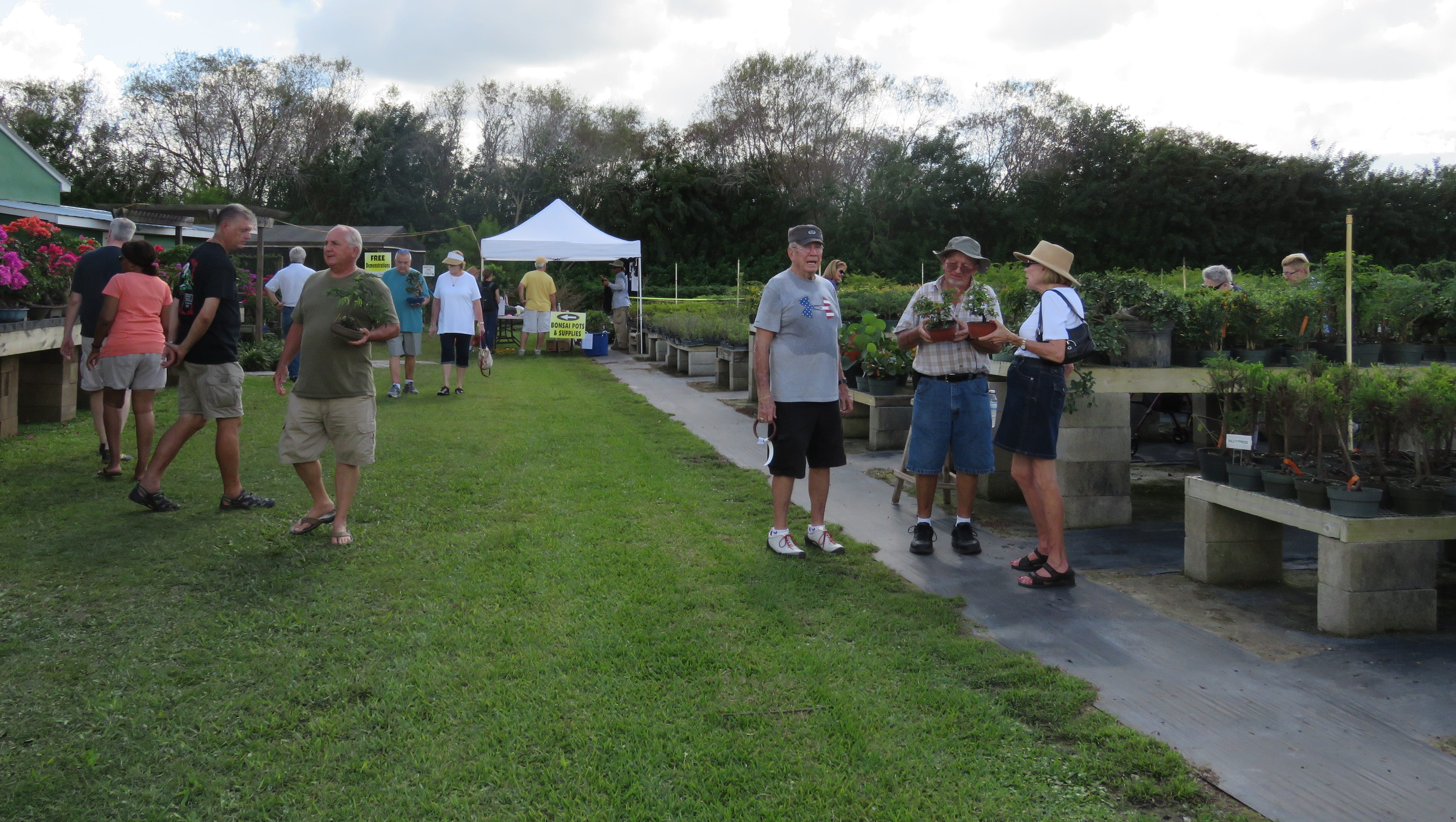 Wigert S Celebrates 10 Years Of Art Of Bonsai