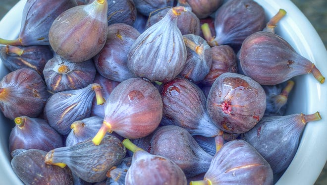 Figs grow well in Western Oregon, and fall is time to plant