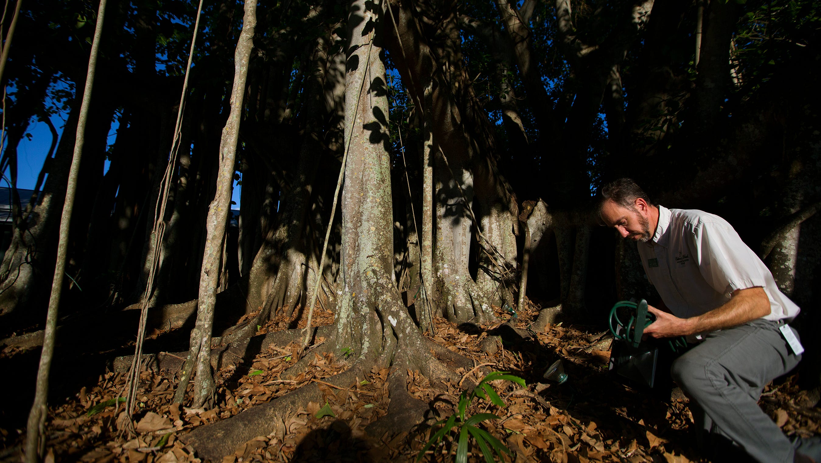 Edison Ford Winter Estates Party To Celebrate Hurricane Irma Recovery