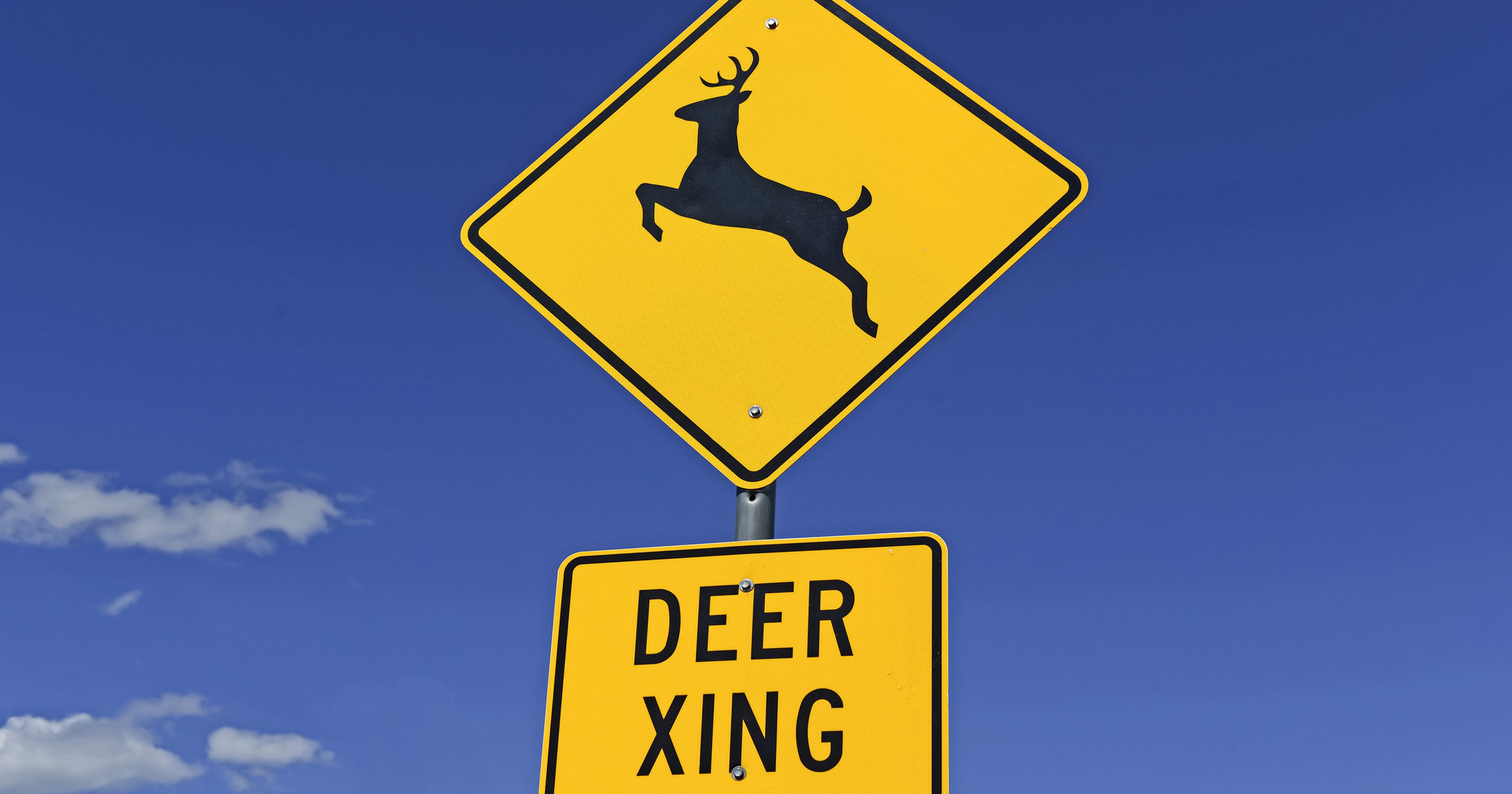 iowa-department-of-transportation-on-deer-crossing-signs